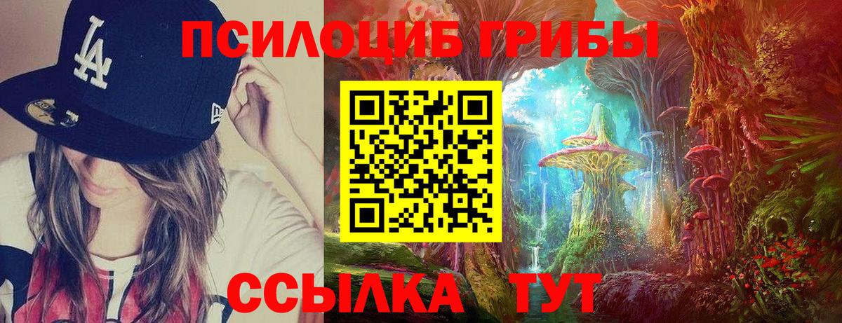 Псилоцибиновые грибы GOLDEN TEACHER  Вход с VPN  Партизанск  Псилоцибиновые грибы Psilocybine cubensis 