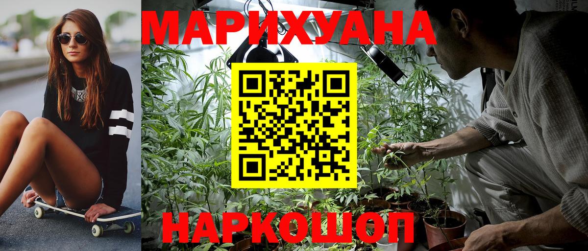 Бошки марихуана планчик  Бошки Шишки план  Бошки марихуана White Widow  Партизанск  Бошки Шишки сатива  Вход с VPN 